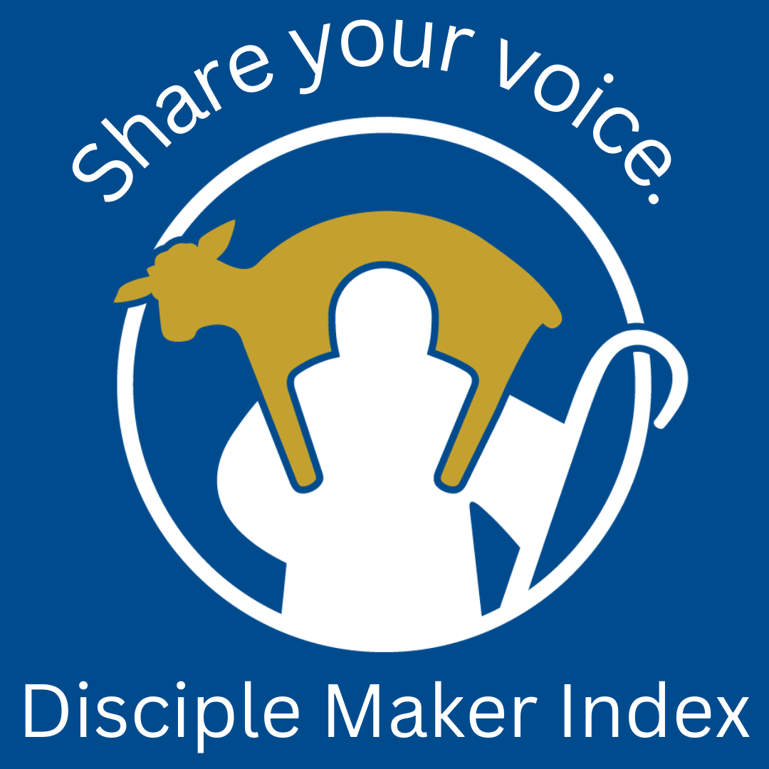 DMI+Logo+1